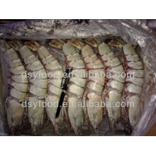 Frozen HOSO Tiger Shrimp